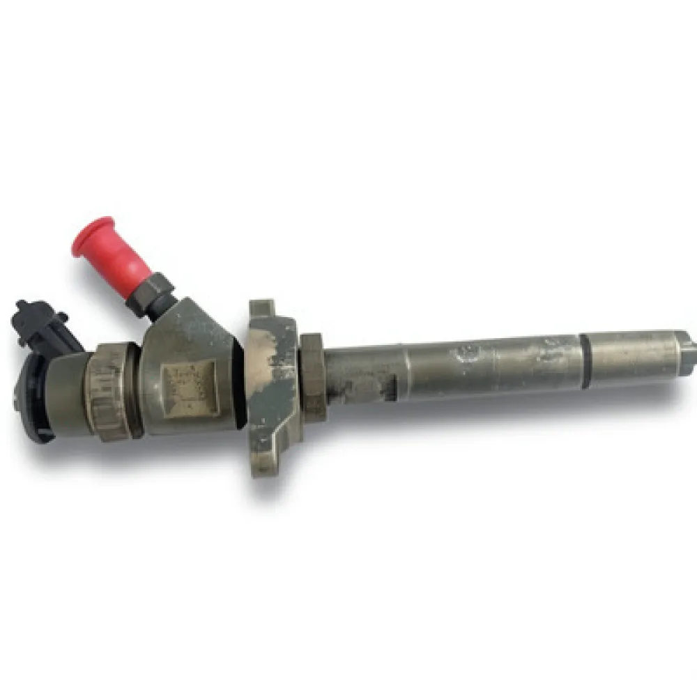Injectoare Citroen C3