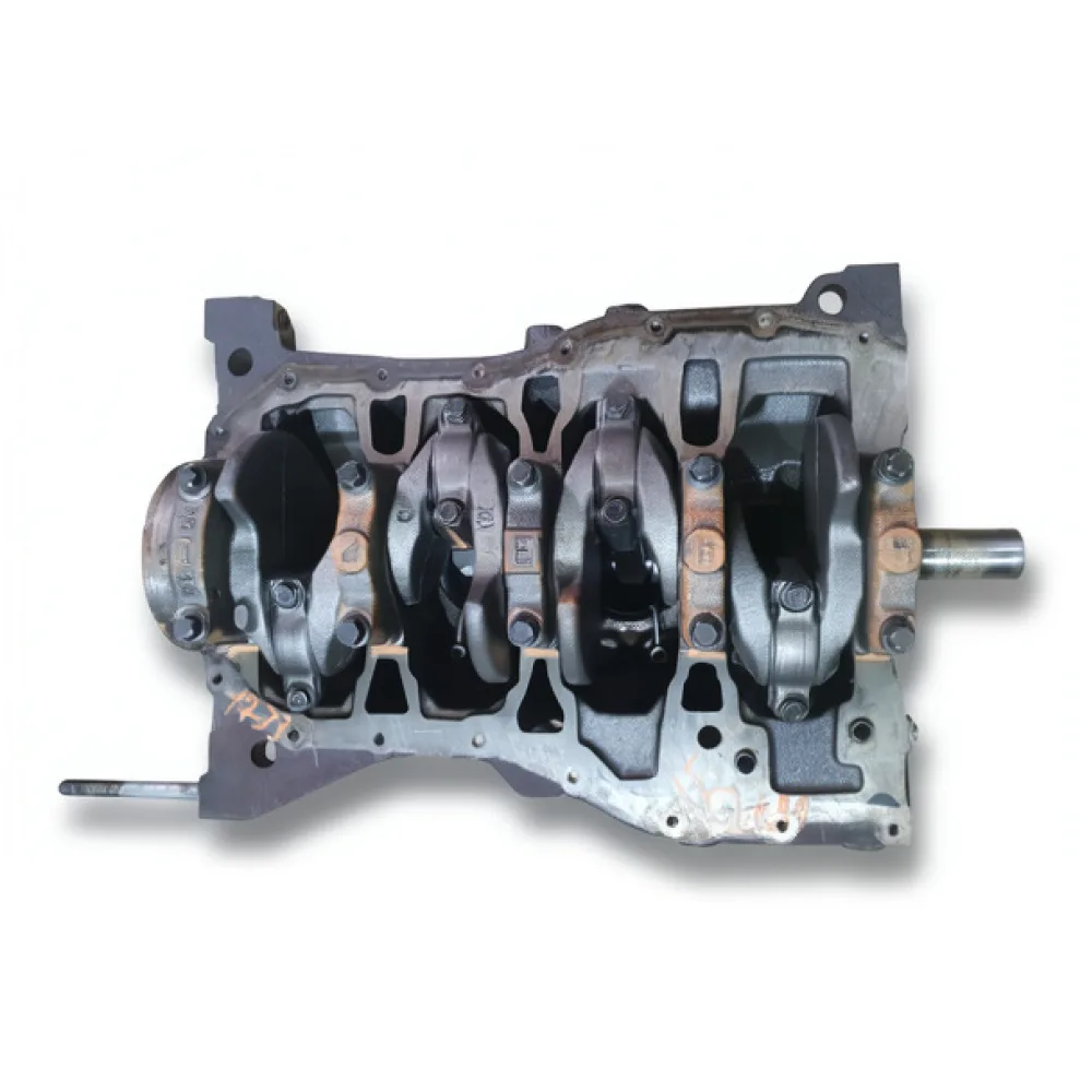 Bloc motor ambielat Renault Clio III (2005-)