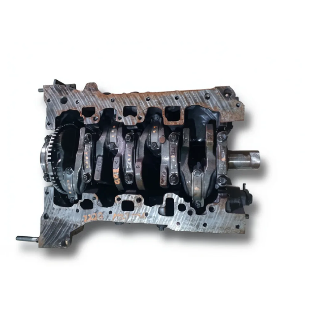 Bloc motor ambielat Renault Master III (2003-)