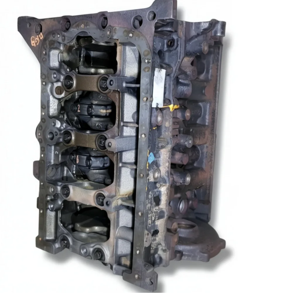 Bloc motor ambielat Renault Master III (2003-)