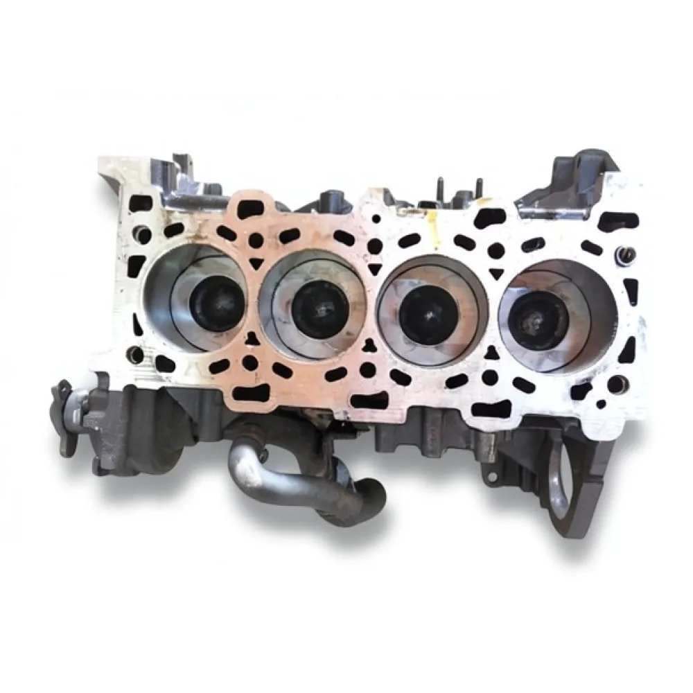 Bloc motor ambielat Renault Trafic (2001-)