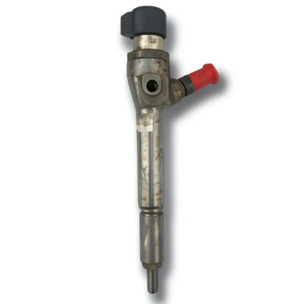 Injectoare Renault Megane Ii (2002-)